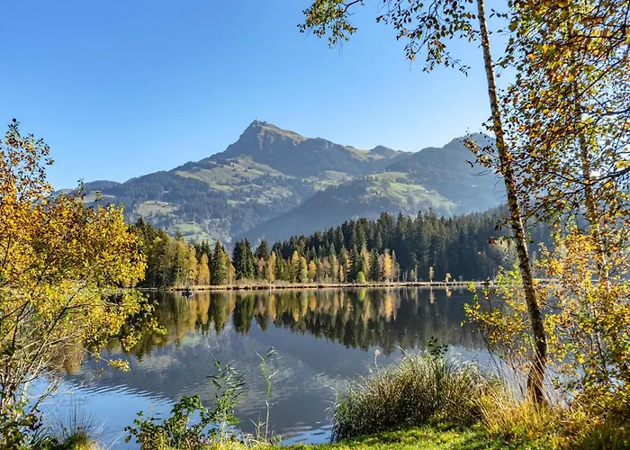 Near The Kitzski Area 아파트